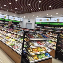 常州个体创业新选择 加盟怡佳仁休闲食品连锁店的机遇与关键